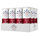 Stelz Raspberry 12-pack